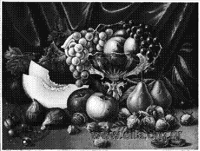 Fruta